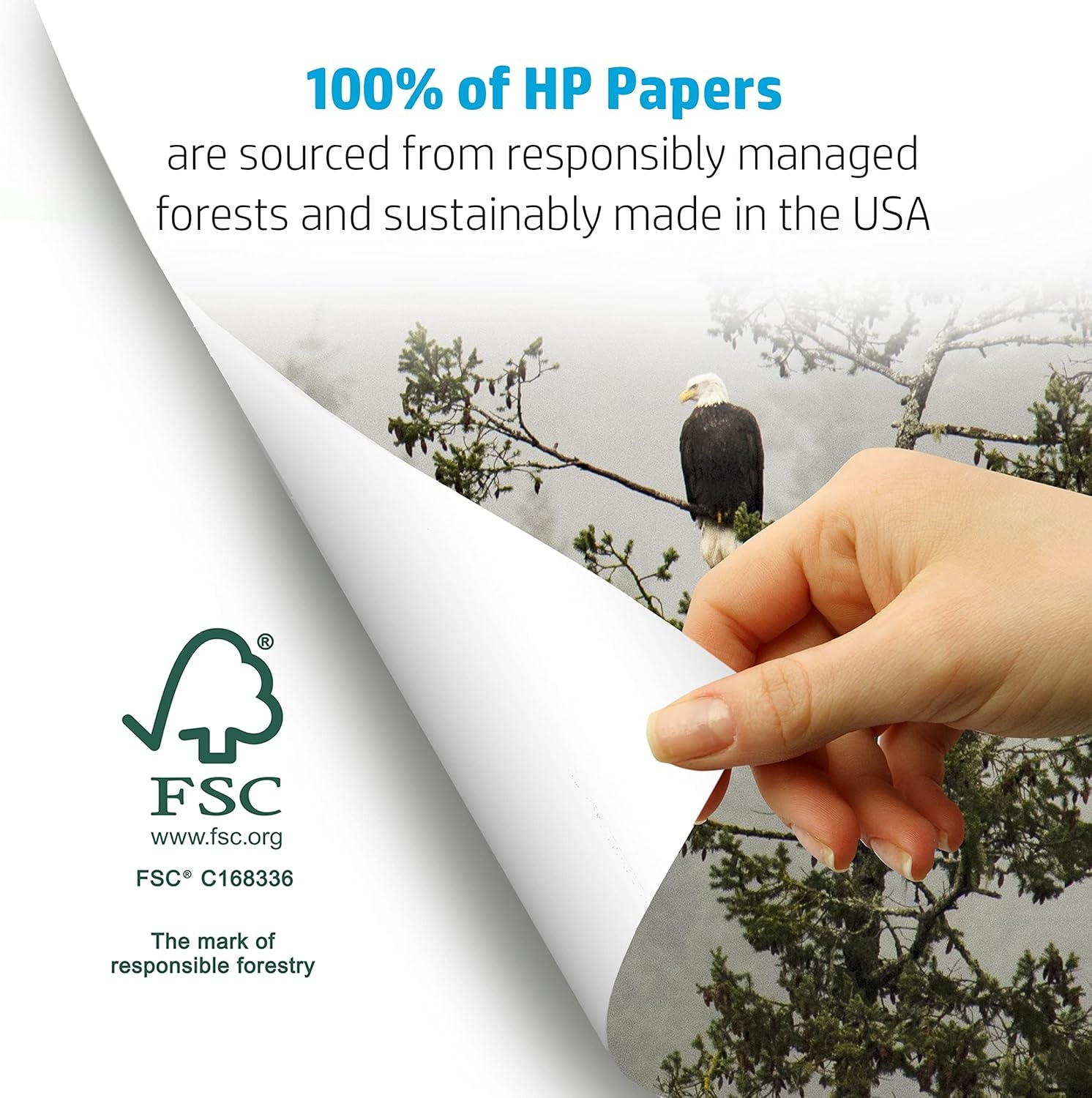 image:imageHP Papers Printer Paper 85 x 11 Paper Copy ampPrint 20 lb 80 Case Pallet 192000 Sheets 6 Pack Case 2400 Sheets FSC Certified 800350P200010P1 Pack 750 Sheets
