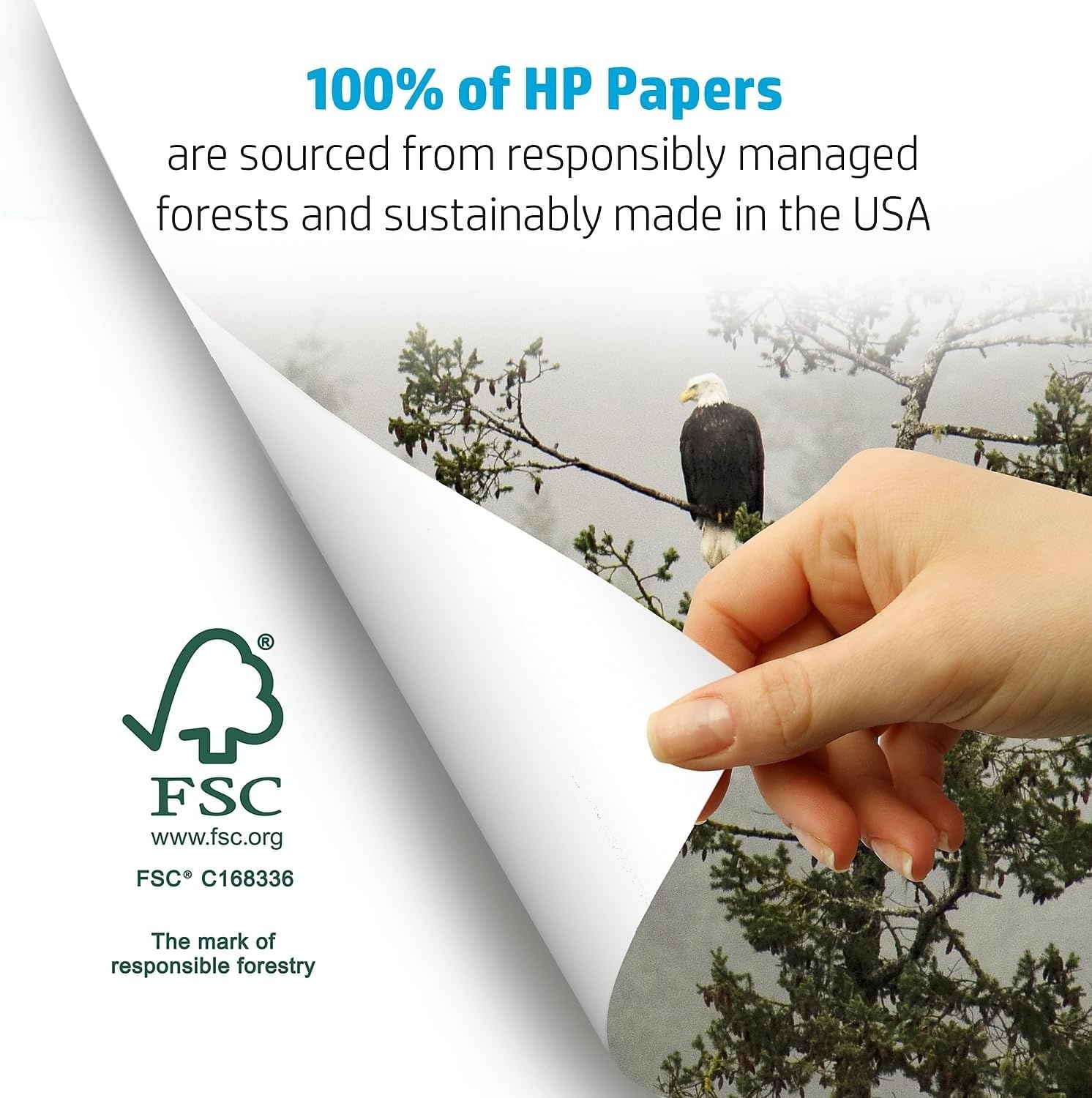 image:imageHP Printer Paper 85 x 11 Paper 30 Recycled Paper 40 Case Pallet 200000 Sheets 92 Bright Loading Dock Delivery Made in USA FSC Certified 112100P10 Ream 5000 Sheets